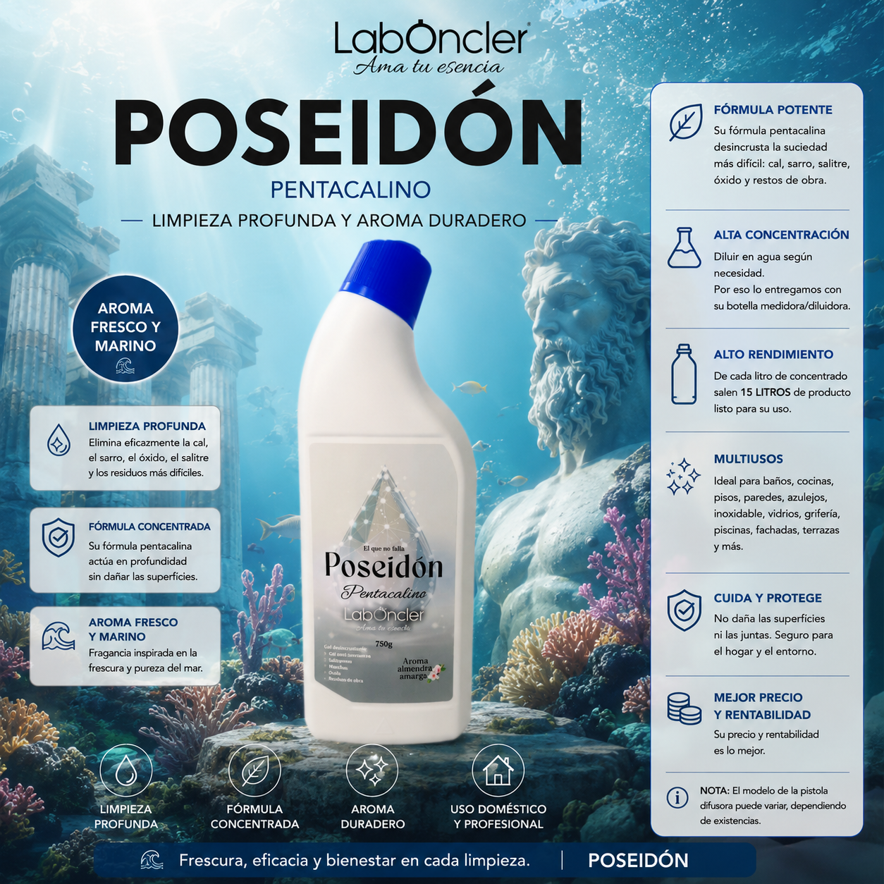 Poseidón Gel Desincrustante y Antical