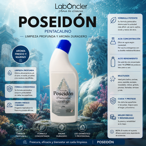 Poseidón Gel Desincrustante y Antical